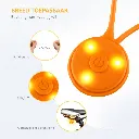 Accent_CustomLight2.webp
