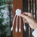 Octopus_WH.webp